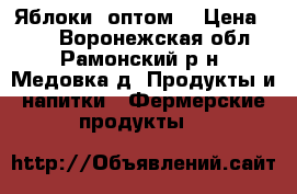 Яблоки  оптом  › Цена ­ 10 - Воронежская обл., Рамонский р-н, Медовка д. Продукты и напитки » Фермерские продукты   